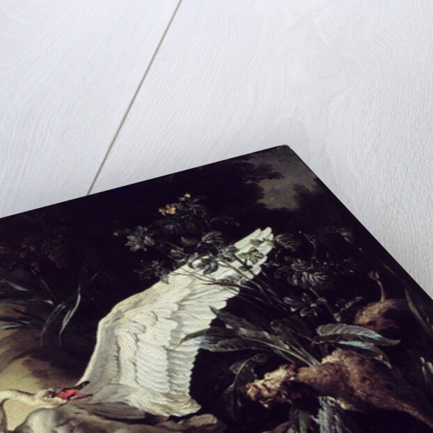 A Water Spaniel Attacking a Swan on its Nest, 1740 by Jacques Charles Oudry