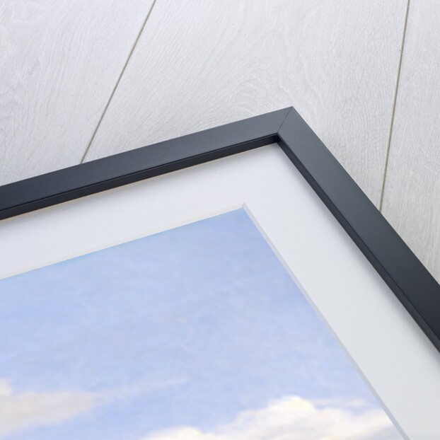 View of Jersey by Guillaume Romain Fouace