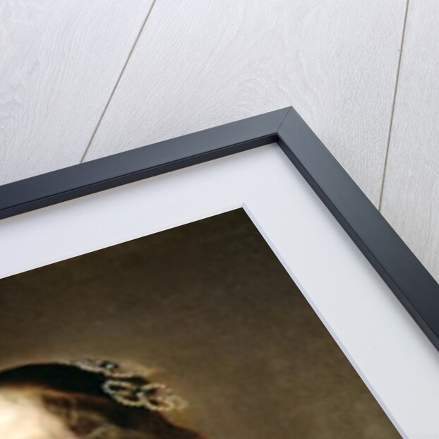 Portrait of a Woman by Adriaen Hanneman