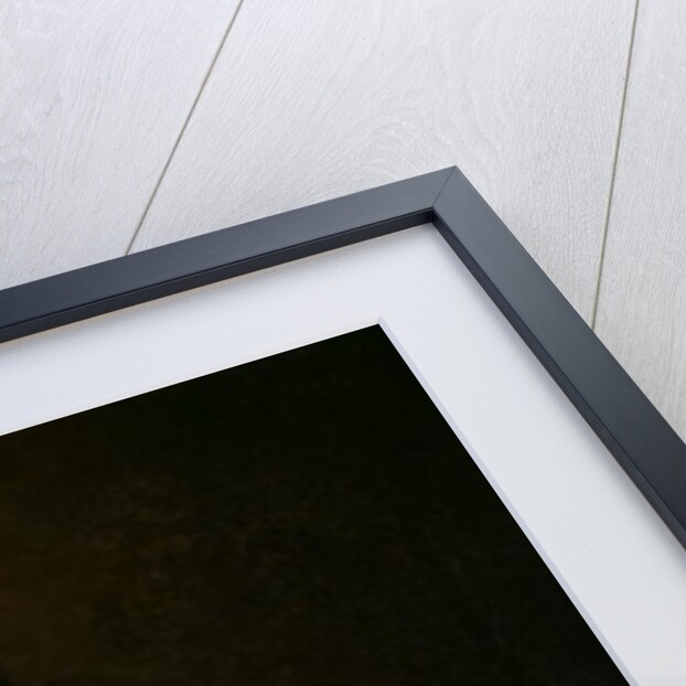 Portrait of a Woman by Thomas Henry