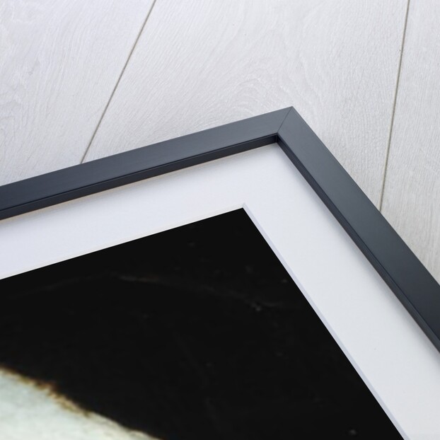 Daniel Killing the Dragon of Baal by Jacob Willemsz de Wet or Wett