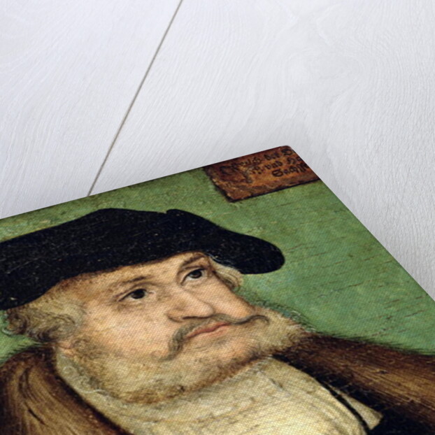 Portrait of Friedrich III Elector of Saxony, 1532 by Lucas the Elder Cranach