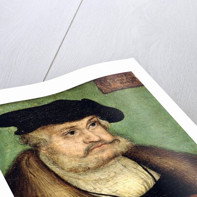 Portrait of Friedrich III Elector of Saxony, 1532 by Lucas the Elder Cranach