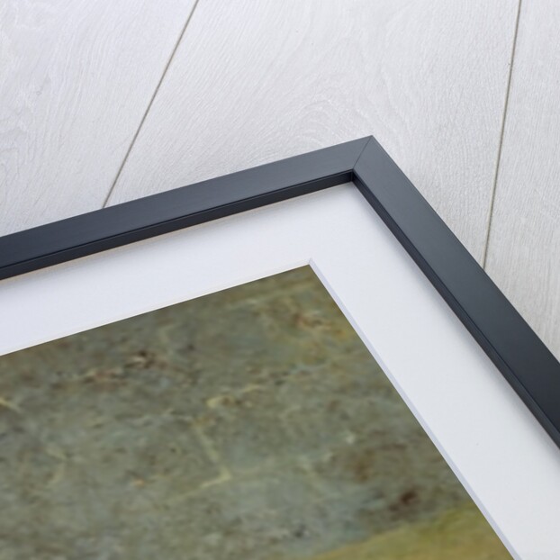 Roe Deer, 1893 by Guillaume Romain Fouace