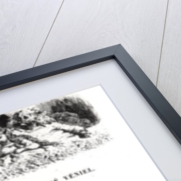 Two illustrated pages from 'Les Contes Drolatiques' by Honore de Balzac engraved by Heliodore Joseph Pisan by Gustave Dore