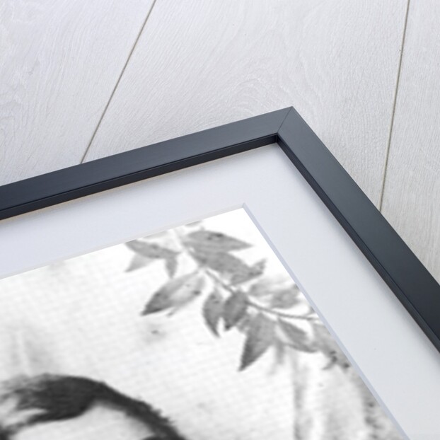 General Jose de San Martin by French School