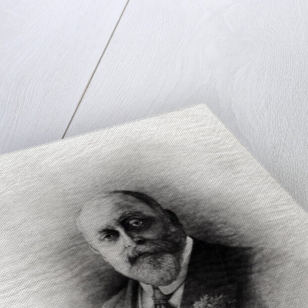 Edward VII by English School