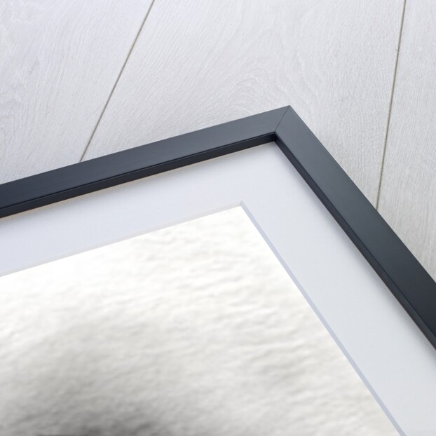 Edward VII by English School