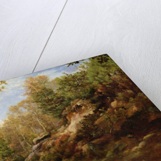 Pines and Birch Trees or, The Forest of Fontainebleau, c.1855-57 by Henri Joseph Constant Dutilleux