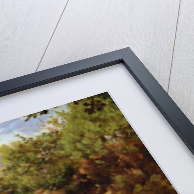 Pines and Birch Trees or, The Forest of Fontainebleau, c.1855-57 by Henri Joseph Constant Dutilleux