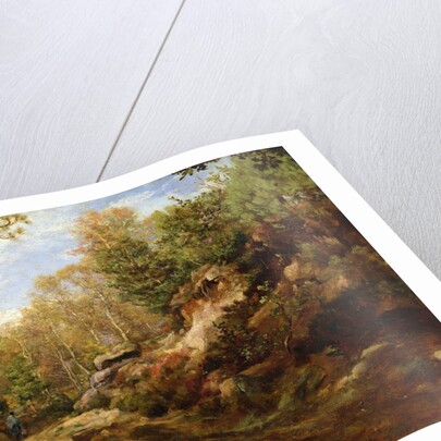 Pines and Birch Trees or, The Forest of Fontainebleau, c.1855-57 by Henri Joseph Constant Dutilleux