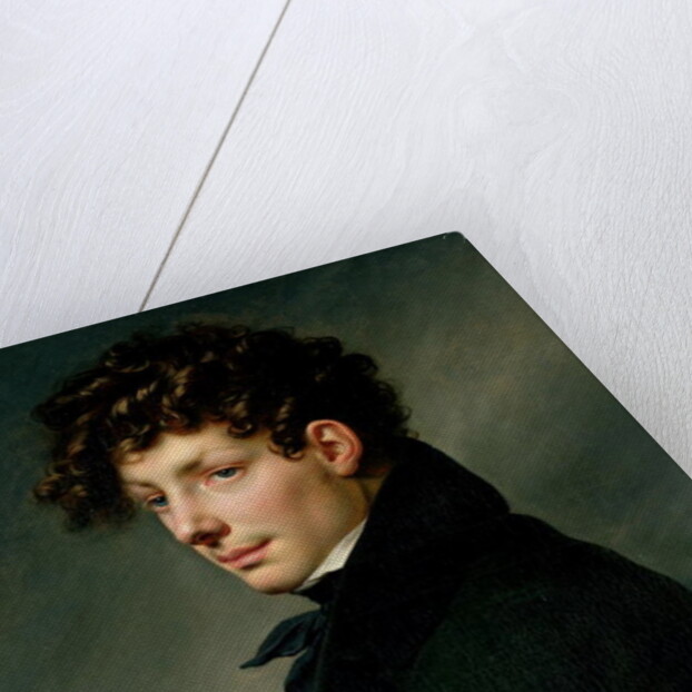 Portrait of a Young Man as a Hunter, 1811 by Anne Louis Girodet de Roucy-Trioson