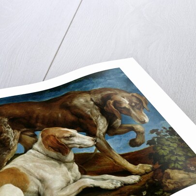 Two Hunting Dogs Tied to a Tree Stump, c.1548-50 by Jacopo Bassano