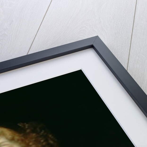 Portrait of Madame de Sevigne, after 1670 by French School