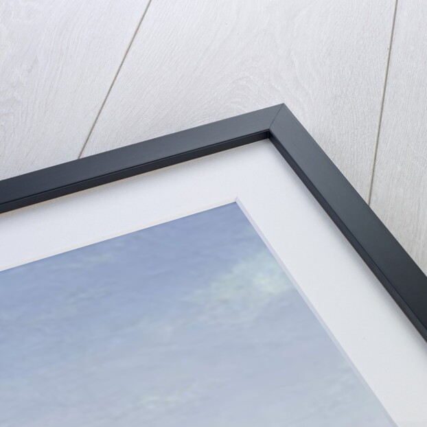 View of the Pont Neuf, c.1845 by Joseph Eusebie Prevot