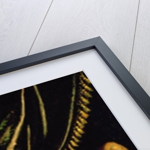 Judith and Holofernes by Jacopo Robusti Tintoretto