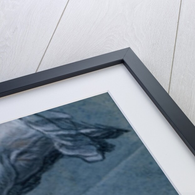 Study of the Hands of a Man by Maurice Quentin de la Tour