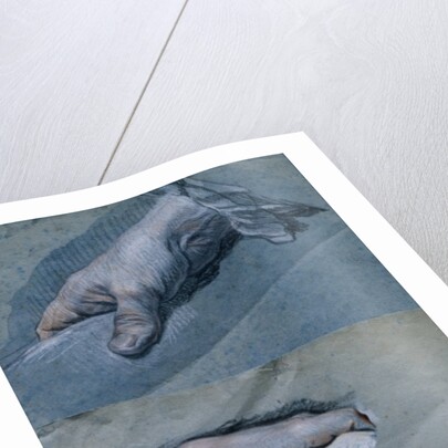 Study of the Hands of a Man by Maurice Quentin de la Tour