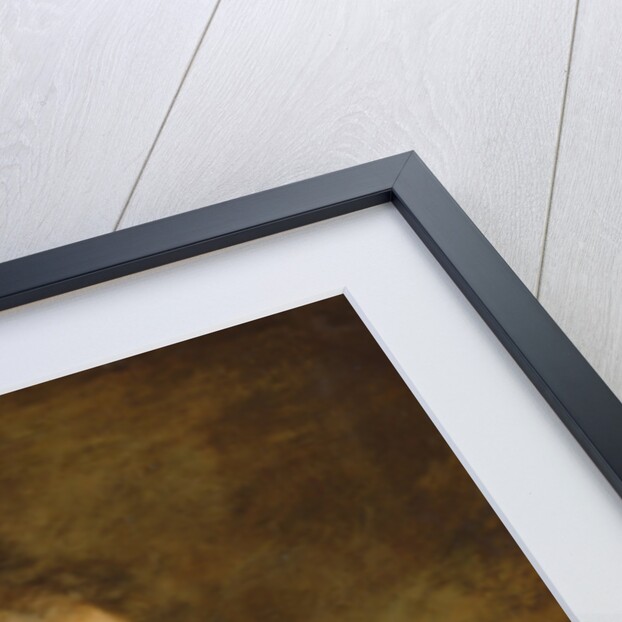 Portrait of Paul Chenavard by Gustave Ricard