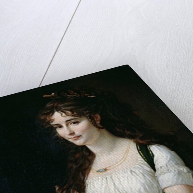 Madame Pasteur by Baron Antoine Jean Gros