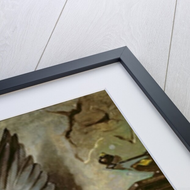 The Woodpigeon, c.1857 by Eugene Deveria