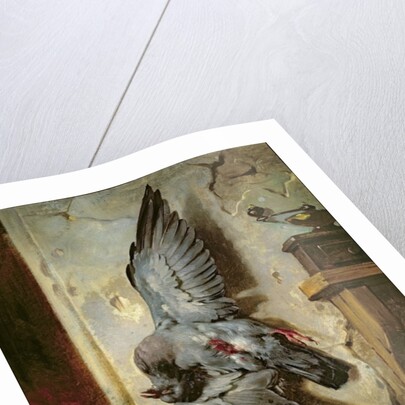 The Woodpigeon, c.1857 by Eugene Deveria