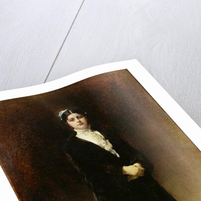 Portrait of Emanuella Pignatelli, Countess Potocka, 1880 by Leon Joseph Florentin Bonnat