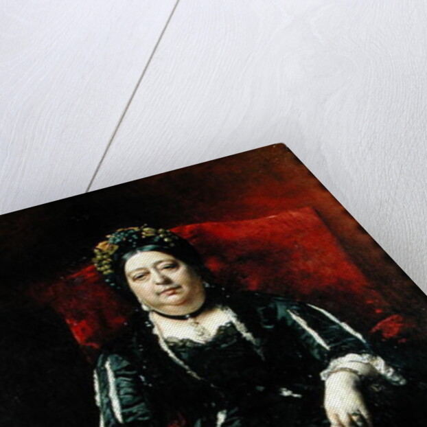 Portrait of Madame Leopold Stern, 1879 by Leon Joseph Florentin Bonnat