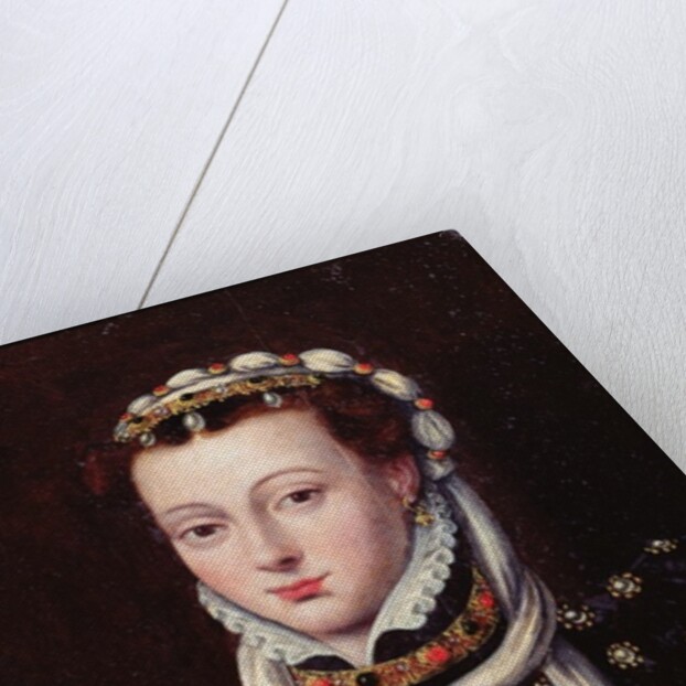 Portrait of Anne de Buren by Anthonis van Dashorst (c.1519-1576/77) Mor