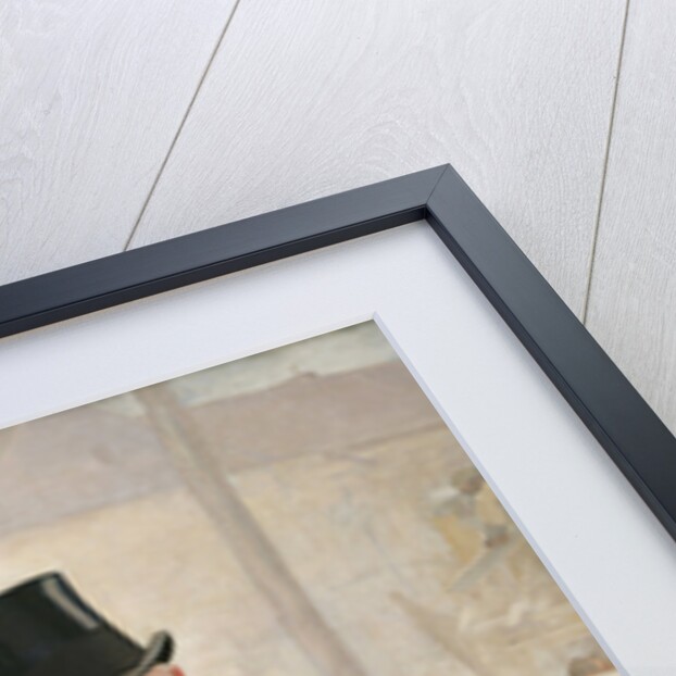 Portrait of Jean Charles Adolphe Alphand 1888 by Alfred Roll