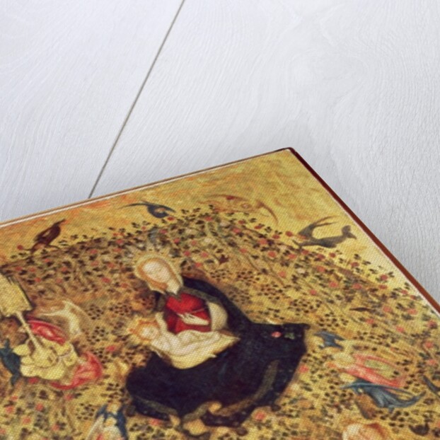 Madonna with a Rose Bush, c.1420 by Stefano di Giovanni da Verona