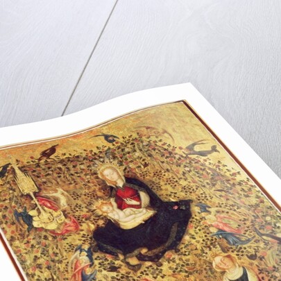 Madonna with a Rose Bush, c.1420 by Stefano di Giovanni da Verona
