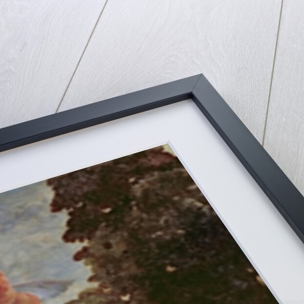 The Conversion of St. Augustine, c.1663 by Gerard de Lairesse