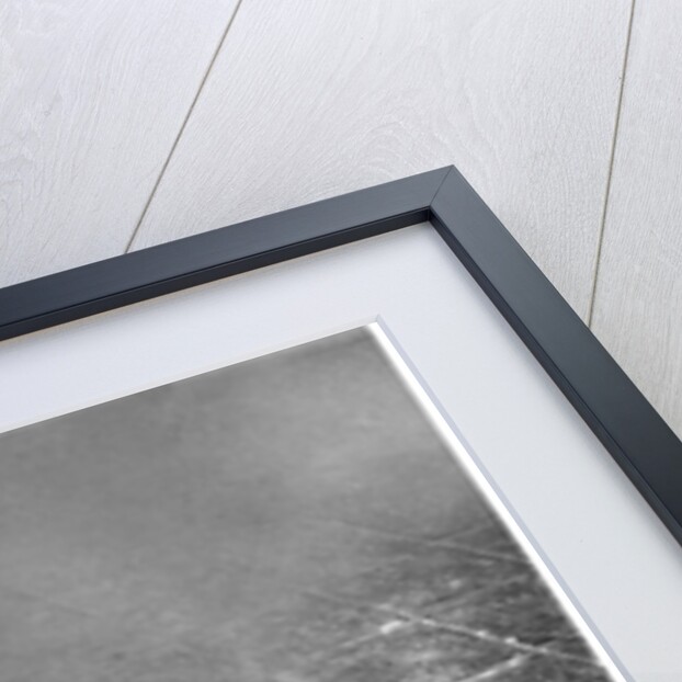 Reconstruction of the Tower of Babel by French School