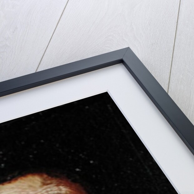 Atropos, One of the Three Fates by Pietro (studio of) Bellotti