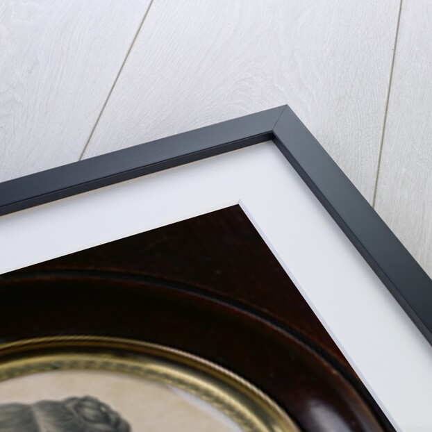 Portrait of Sophie Rostopchine Comtesse de Segur by French School