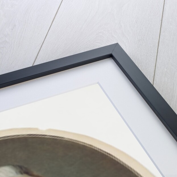 Louis-Michel Le Peletier de Saint-Fargeau 1792 by Jean Francois Garneray