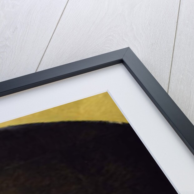 The Death of Germaine Cousin the Virgin of Pibrac, c.1863 by Alexandre Grellet