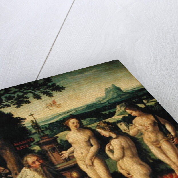 The Dream of Paris by Pieter Coecke van Aelst