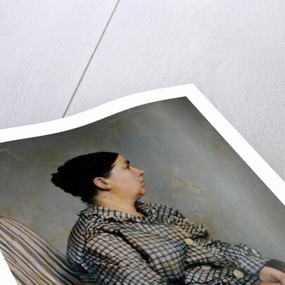 The Artist's Mother, 1883 by Paul Alexander Alfred Leroy