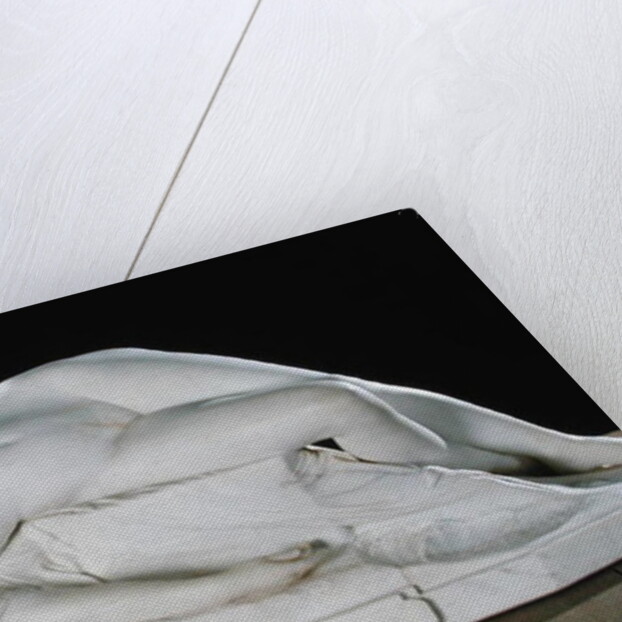 Young Girl from Tarento, 1871 by Alexandre Schoenewerk