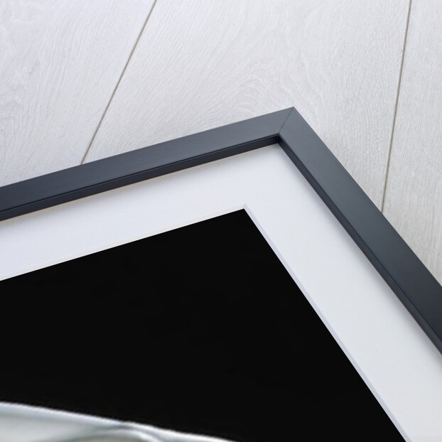 Young Girl from Tarento, 1871 by Alexandre Schoenewerk