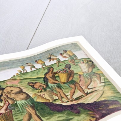 Collecting Food for the Communal Storehouse by Jacques Le Moyne