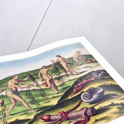 How the Women Lament at the Burial Grounds by Jacques Le Moyne