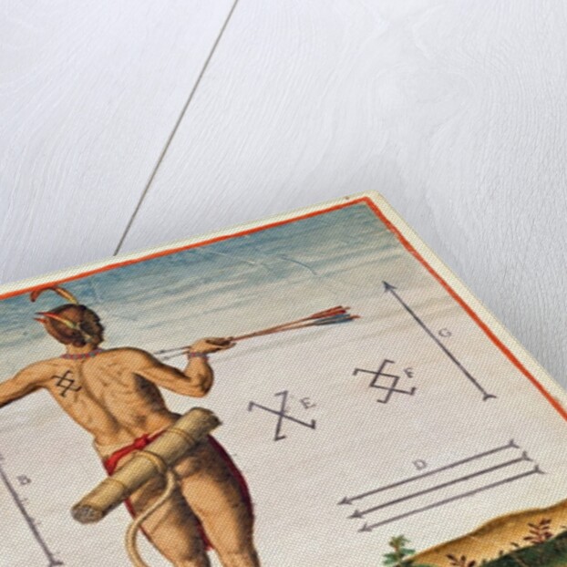 Distinctive Markings of a Warrior of Virginia by John White