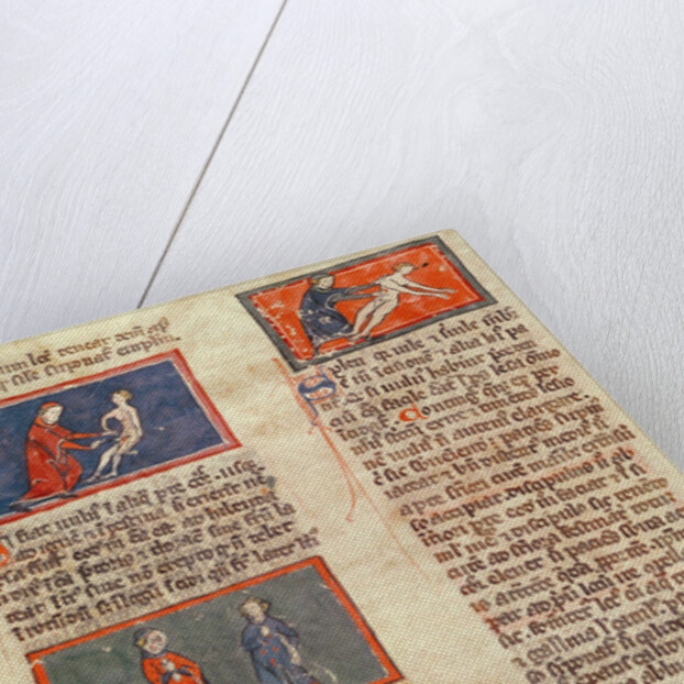 Ms H 89 fol.21v Anatomical figures by French School