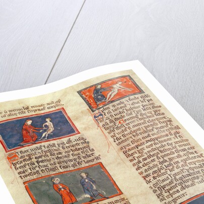 Ms H 89 fol.21v Anatomical figures by French School