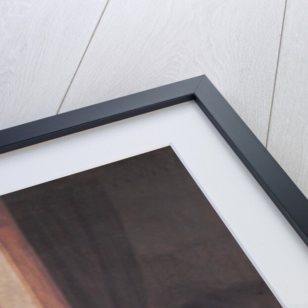 The Doctor's Visit by Heiman Dullaert