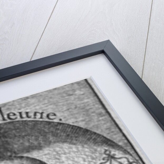 Claude Le Jeune 1598 by French School