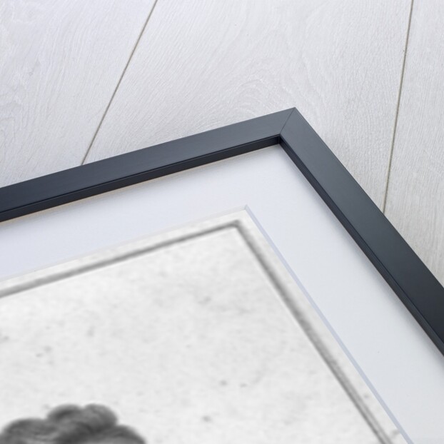 Friedrich Schiller engraved by Massol by Theophile Behaeghel